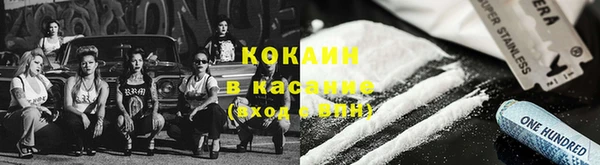 дживик Абинск