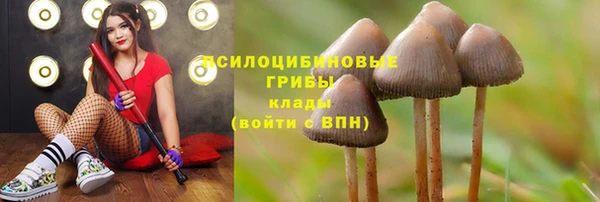 не бодяженный Алексеевка