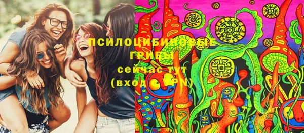 твердый Алзамай