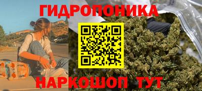 прущий лед Бердск