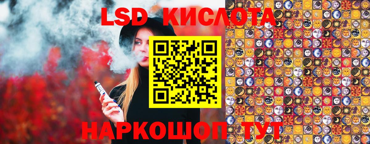Галлюциногенные грибы Белореченск