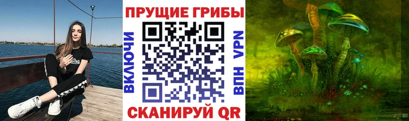 Галлюциногенные грибы прущие грибы Белореченск