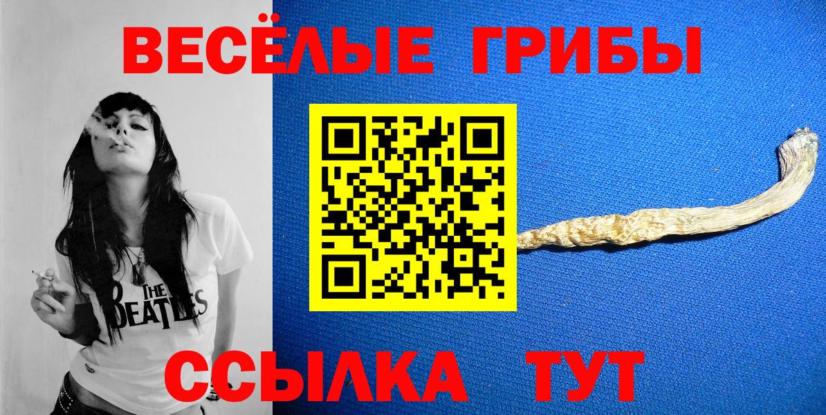 Галлюциногенные грибы Psilocybe Белореченск